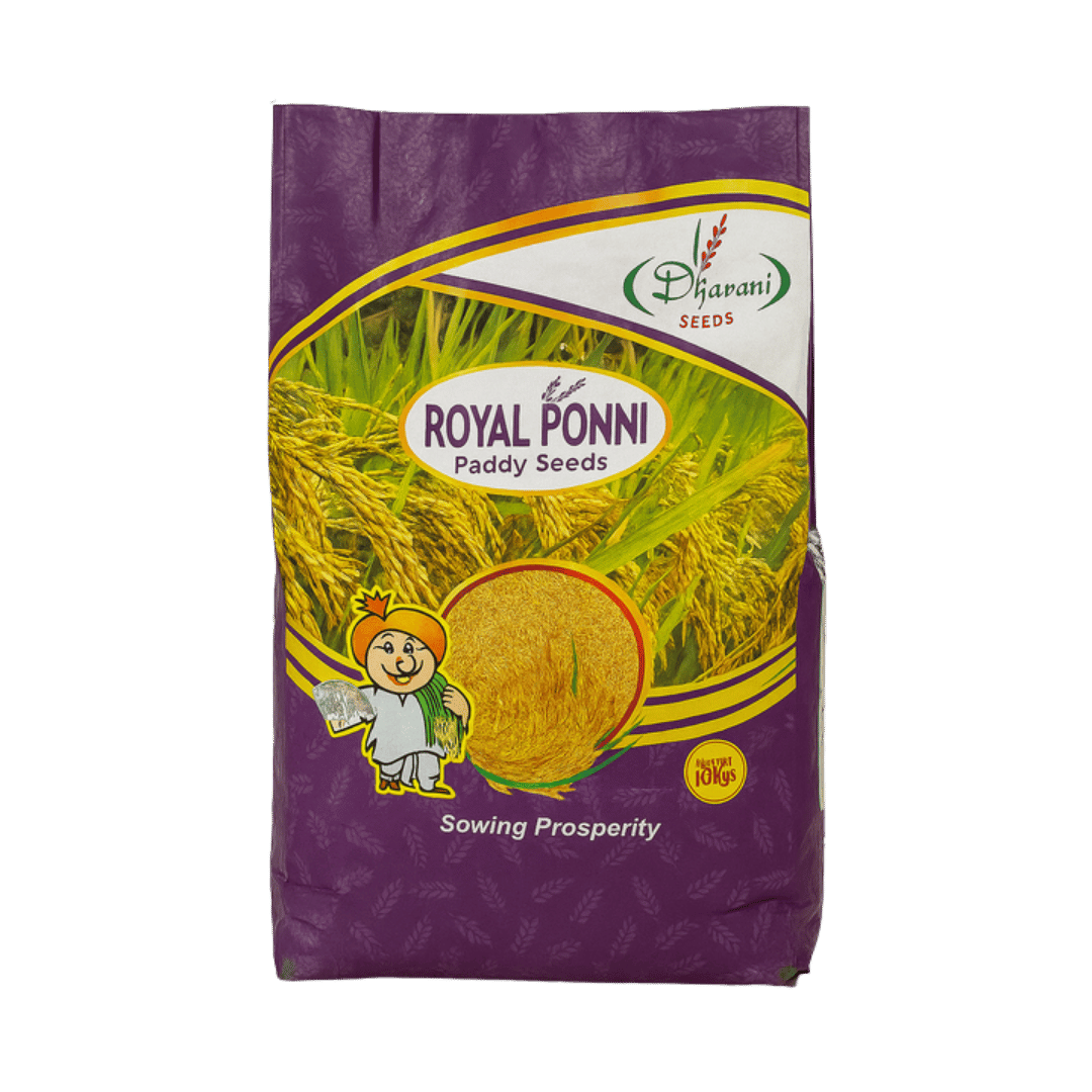 Royal Ponni