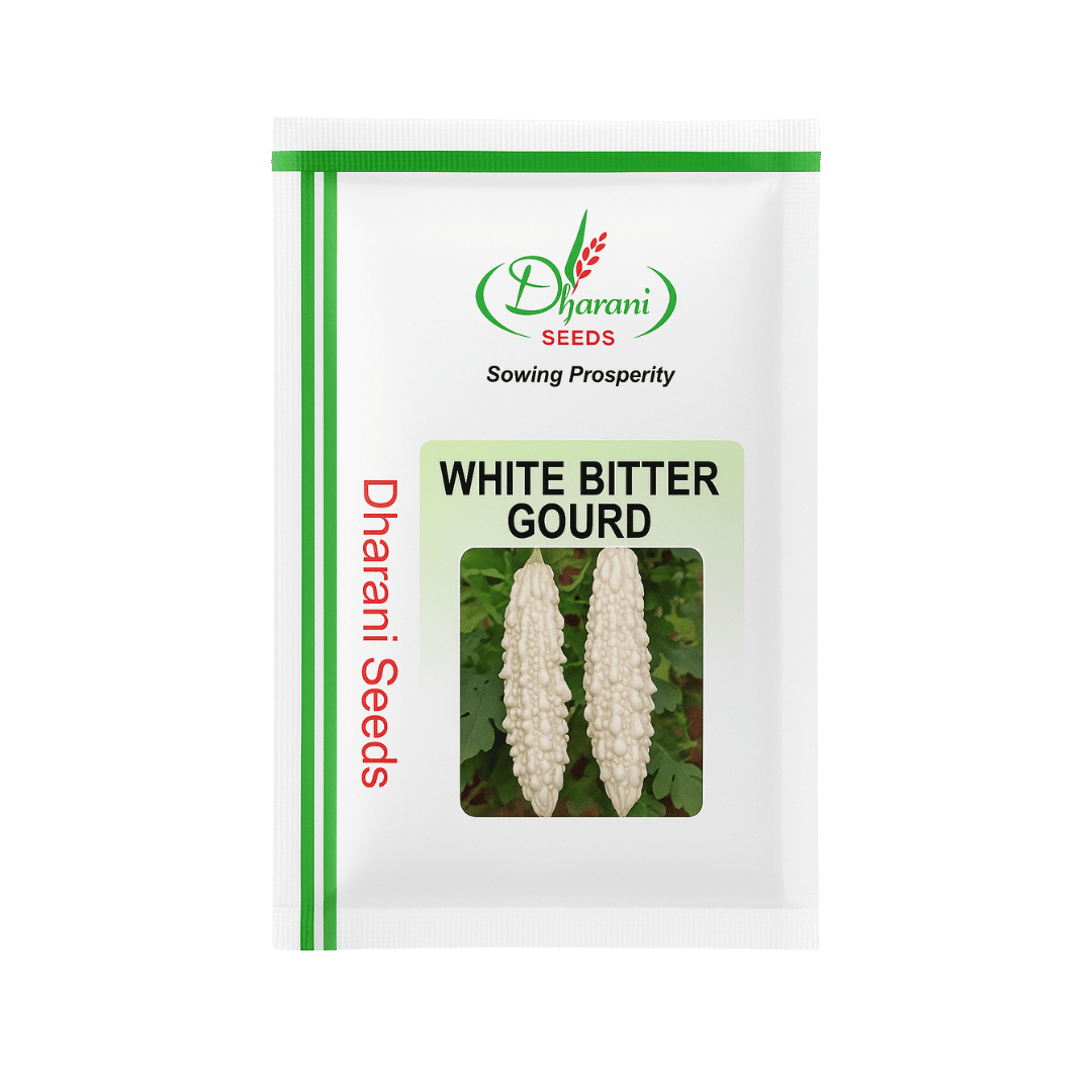 White Bitter Gourd